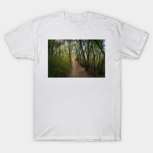 Trail Through the Woods at Sunset T-Shirt